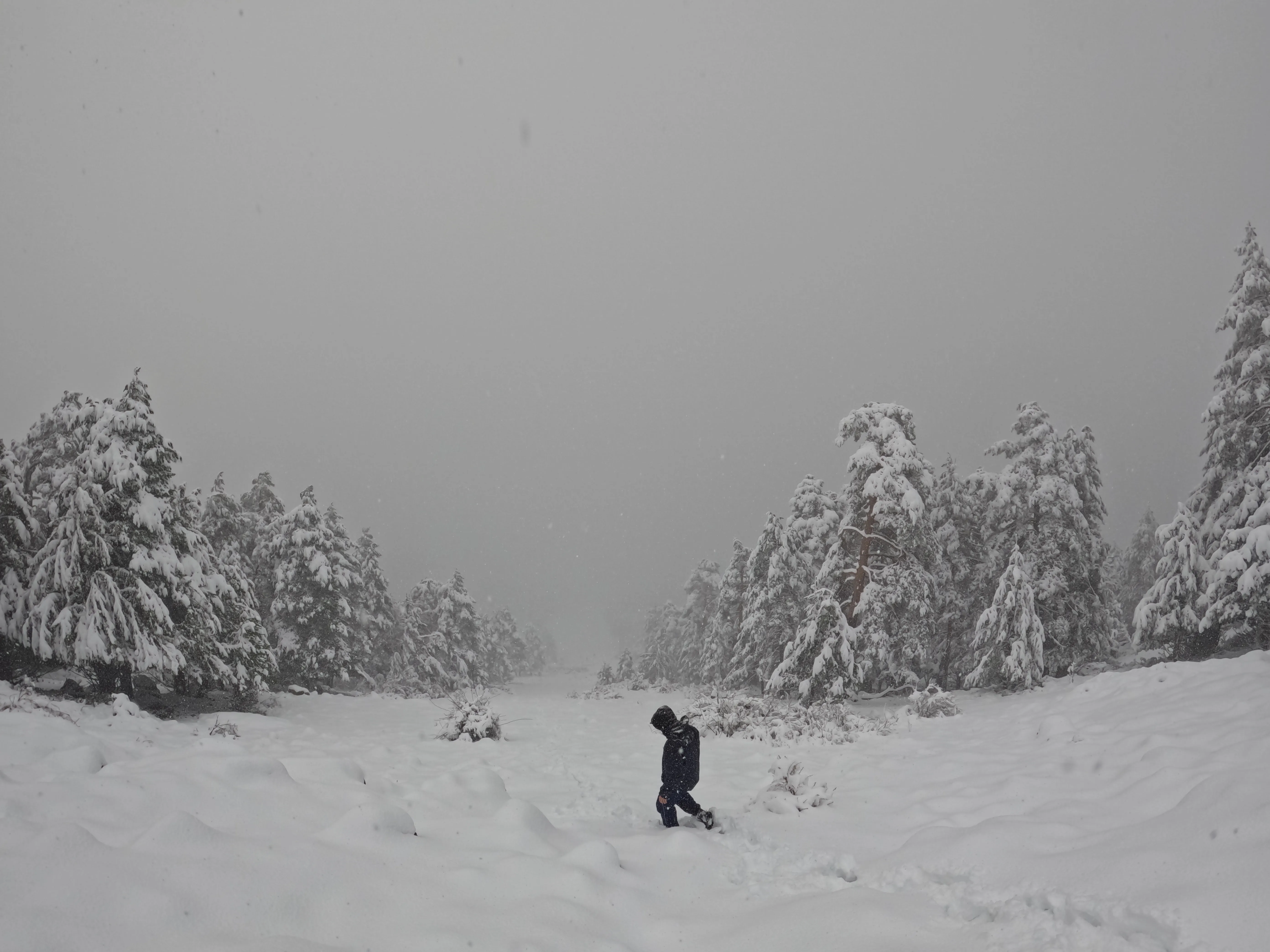 MOGORRITA (CUENCA) - 1864m